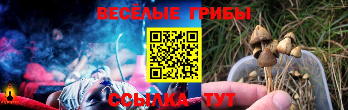 Миасс  Псилоцибиновые грибы ЛСД  Вход с VPN 